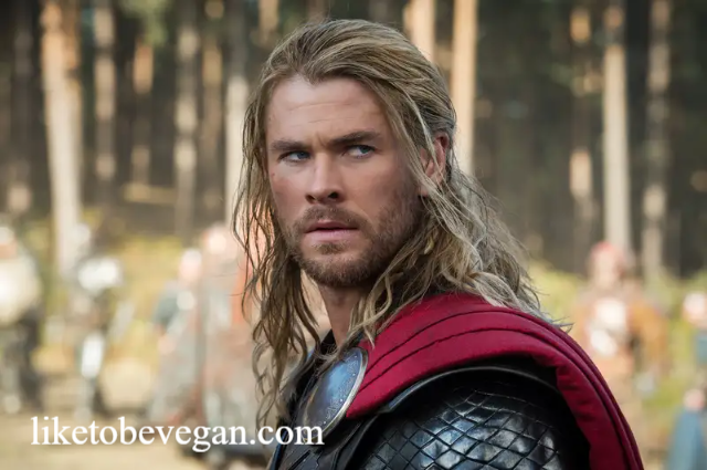 Chris Hemsworth: Thor dan Karier